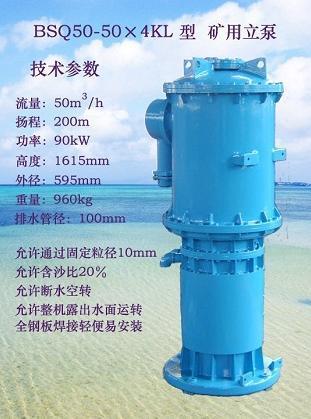 矿用排沙立泵KL60-63*2